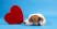 Love Songs