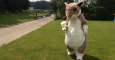 Hammy_Real